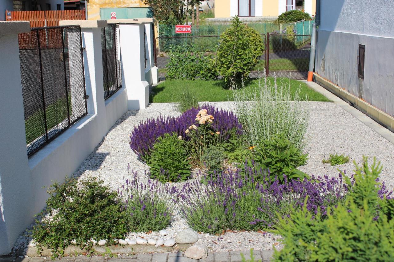 Apartment Dream Františkovy Lázně Exterior foto